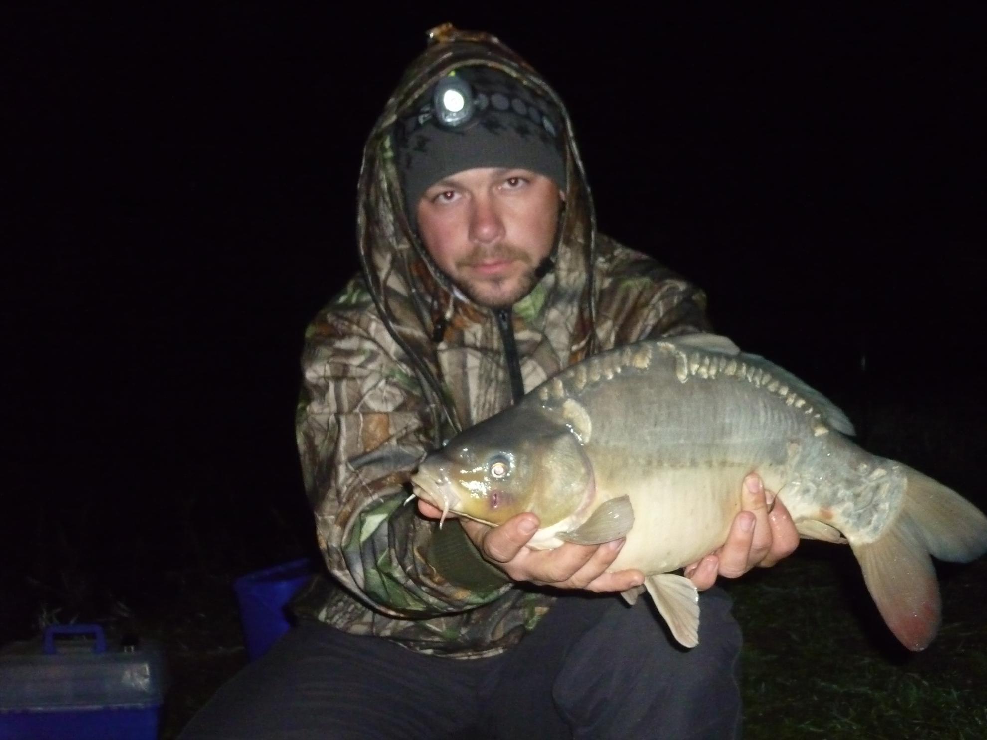 Stejeris 2011 - p1010988.JPG